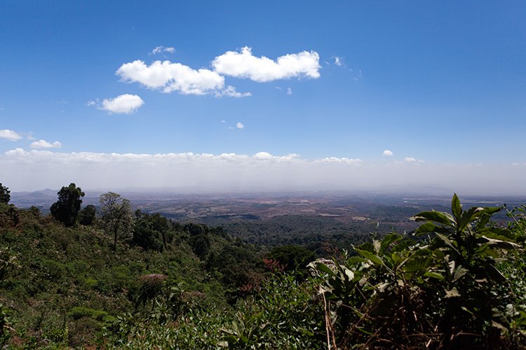 TZA ARU Ngorongoro 2016DEC23 015